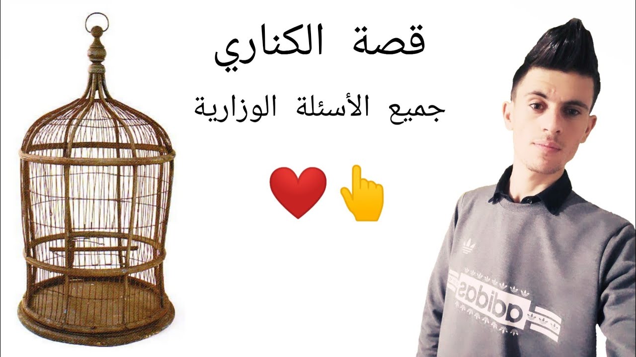 قصة الكناري بكل سهولة || جميع الأسئلة الوزارية || The Canary ||امجد السرابي