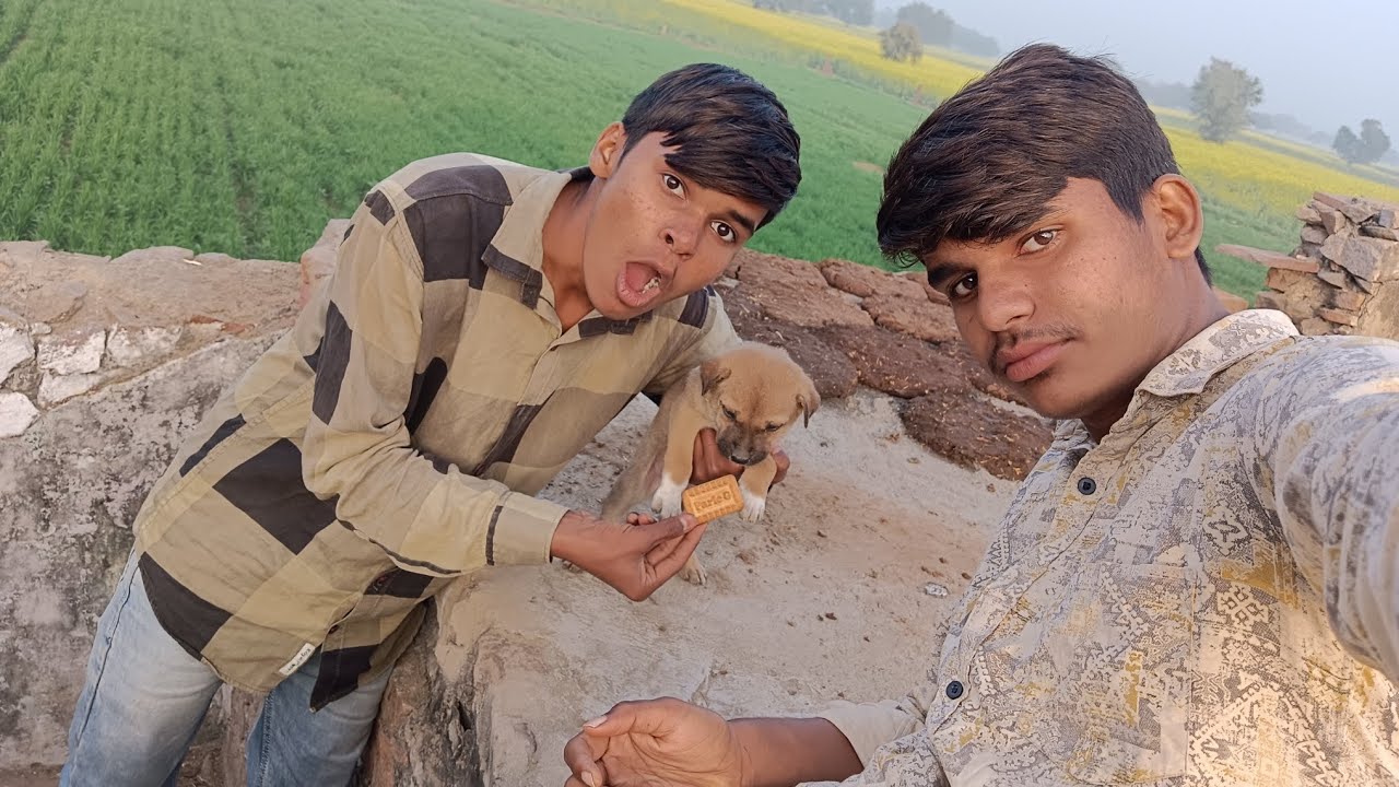 Finally Dog ke sath kar diya prank 😂 vlogs viral 