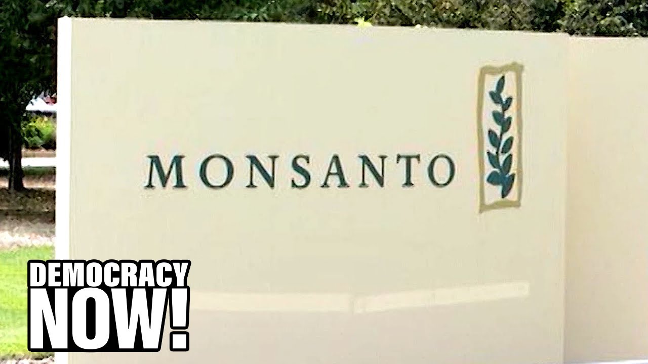 Documents Reveal Monsanto Surveilled Journalists, Activists & Even Musician Neil Young