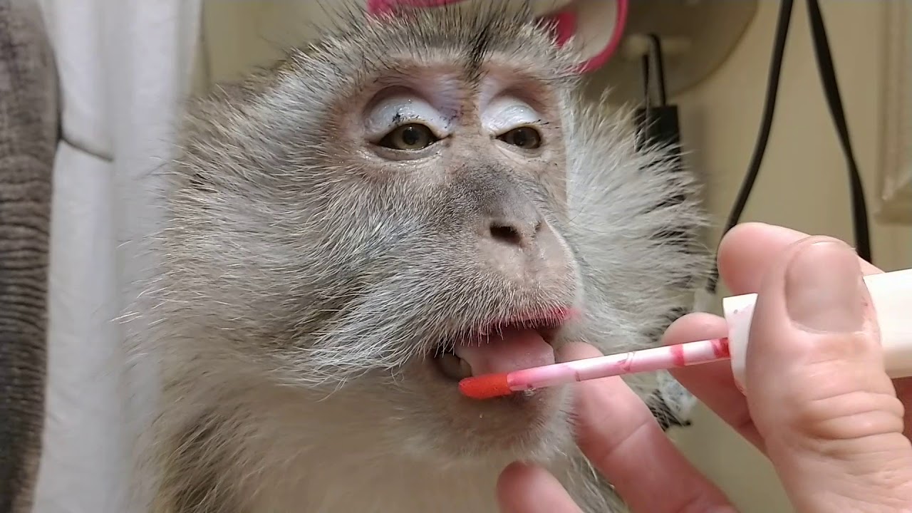 Утренний макияж от Monkeys