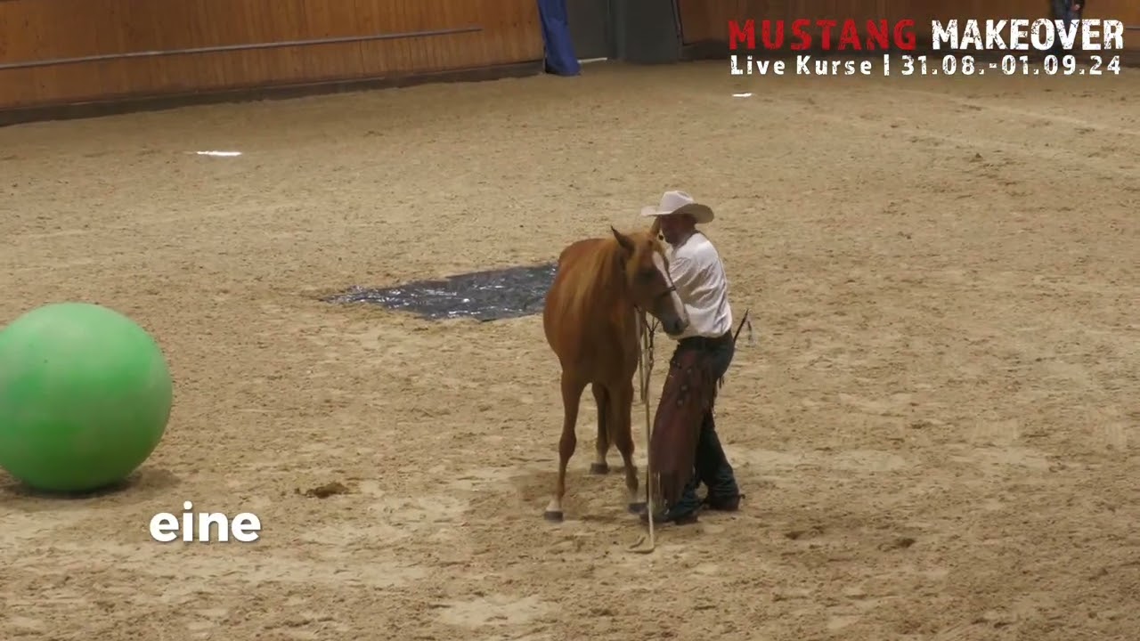 Kurse auf dem MUSTANG MAKEOVER 2024