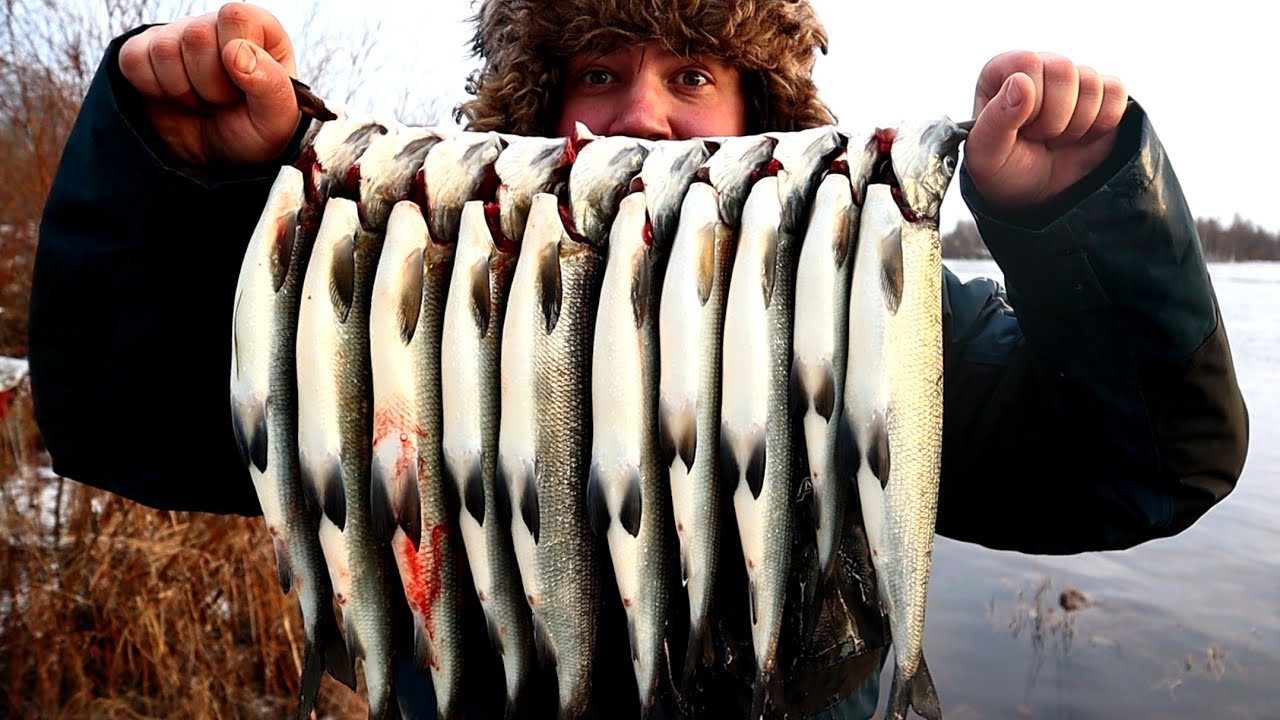 5,5 KILOA SIIKAA -  KATKARAPU PARAS SY&Ouml;TTI SIIALLE?