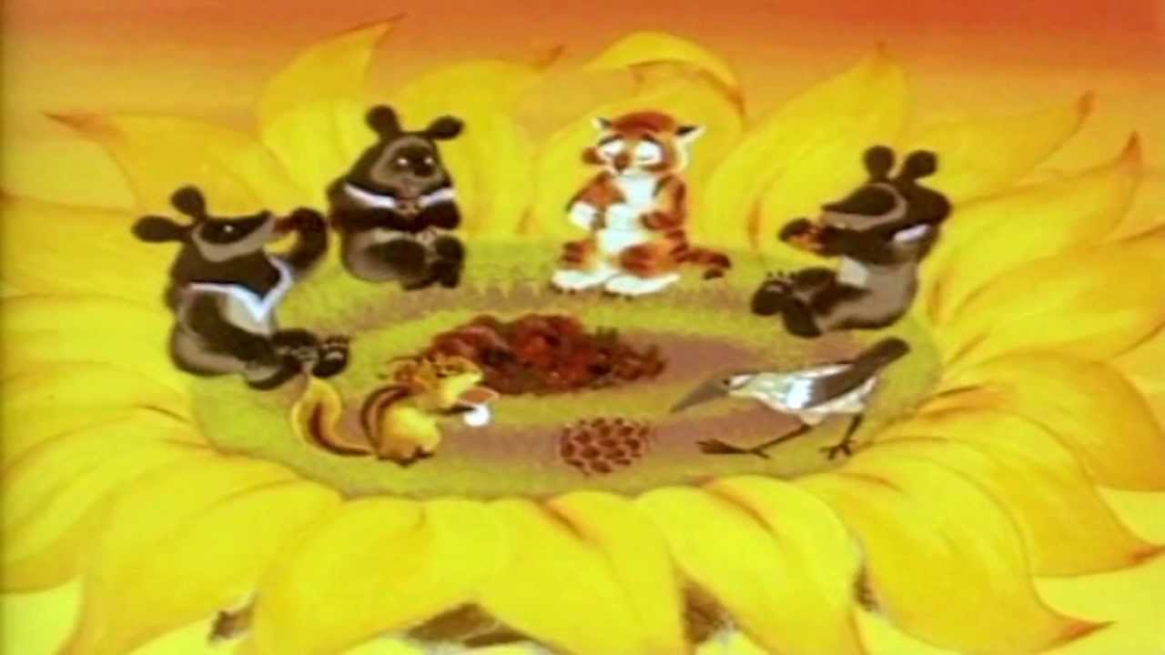 Павел Кашин. Подсолнух