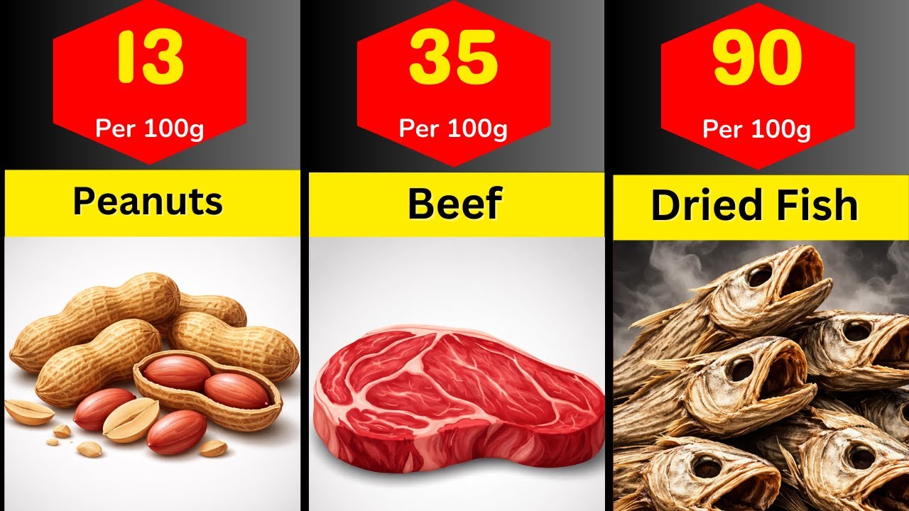 Highest Protein Foods In The World | Comparison Video