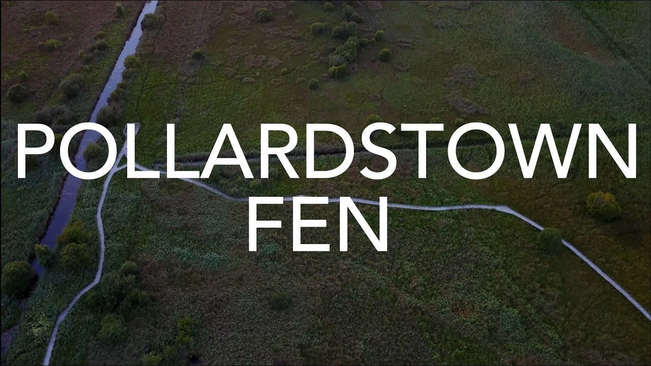 Pollardstown Fen, Kildare 4K
