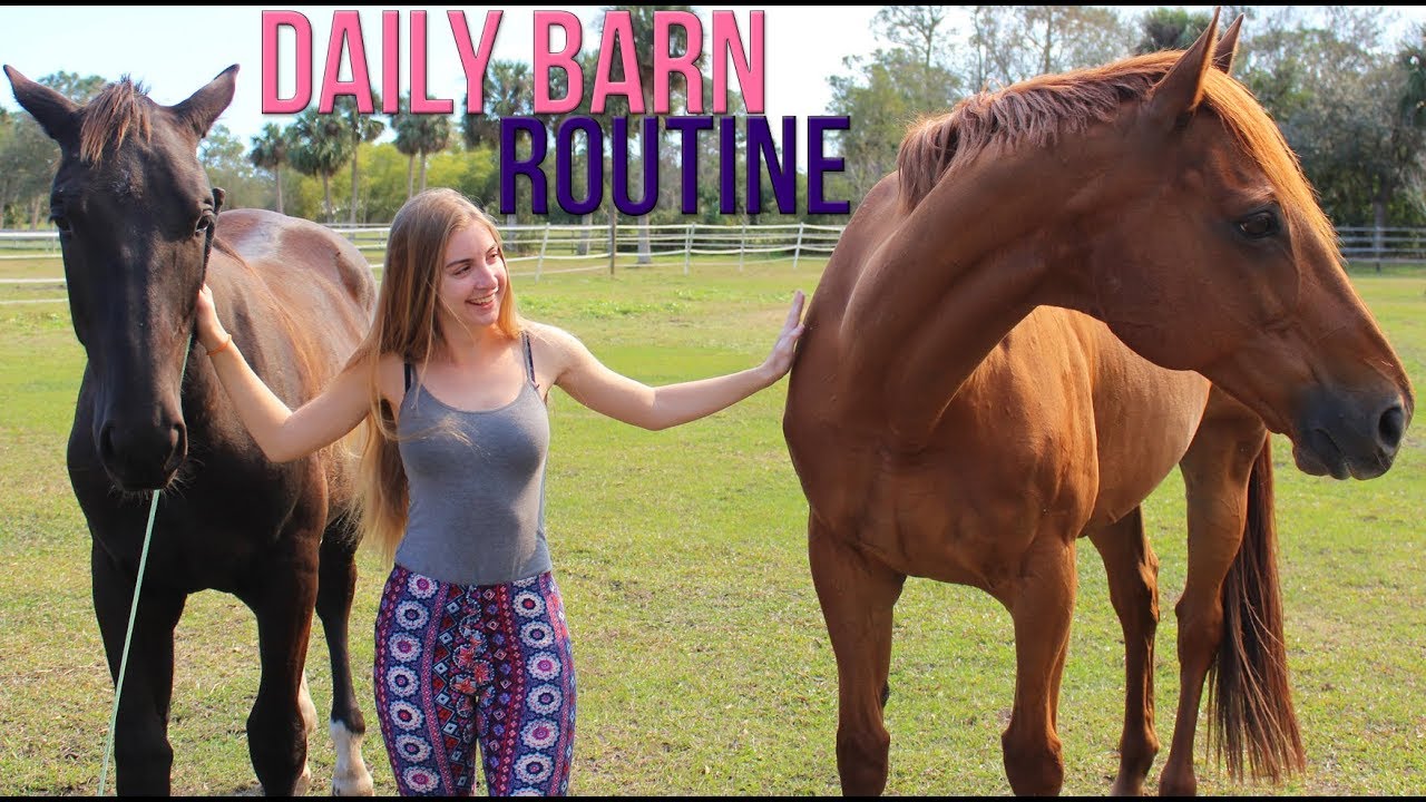 BARN VLOG! MY DAILY BARN ROUTINE!