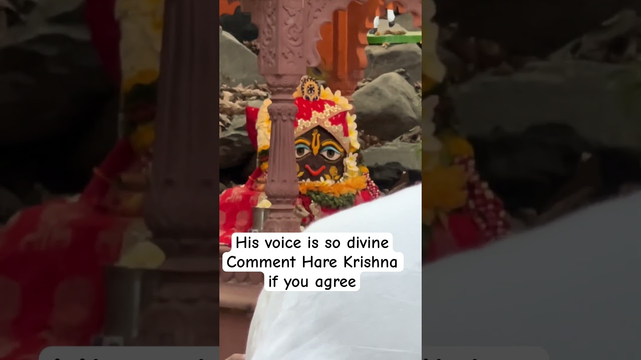 Dil khush hogaya yeh kirtan sunke - Hare krishna kirtan by Jai Sachinandan prabhu