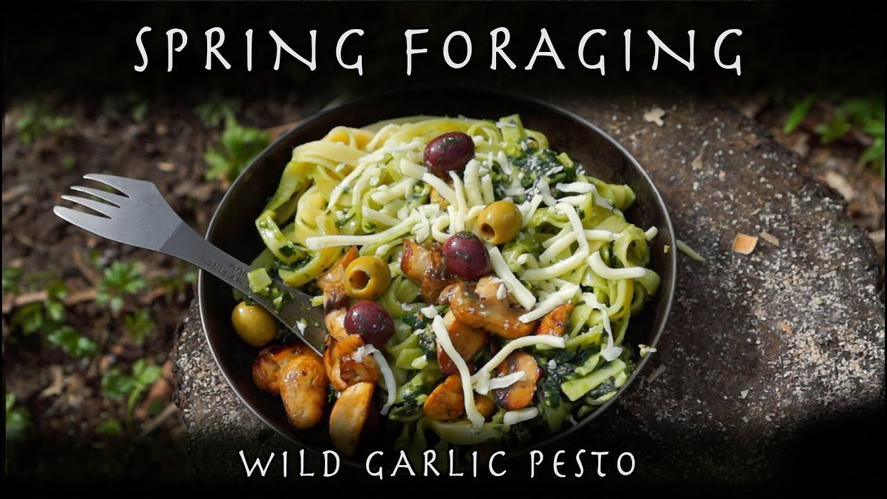 Bushcraft - Spring Foraging - Wild Garlic Pesto