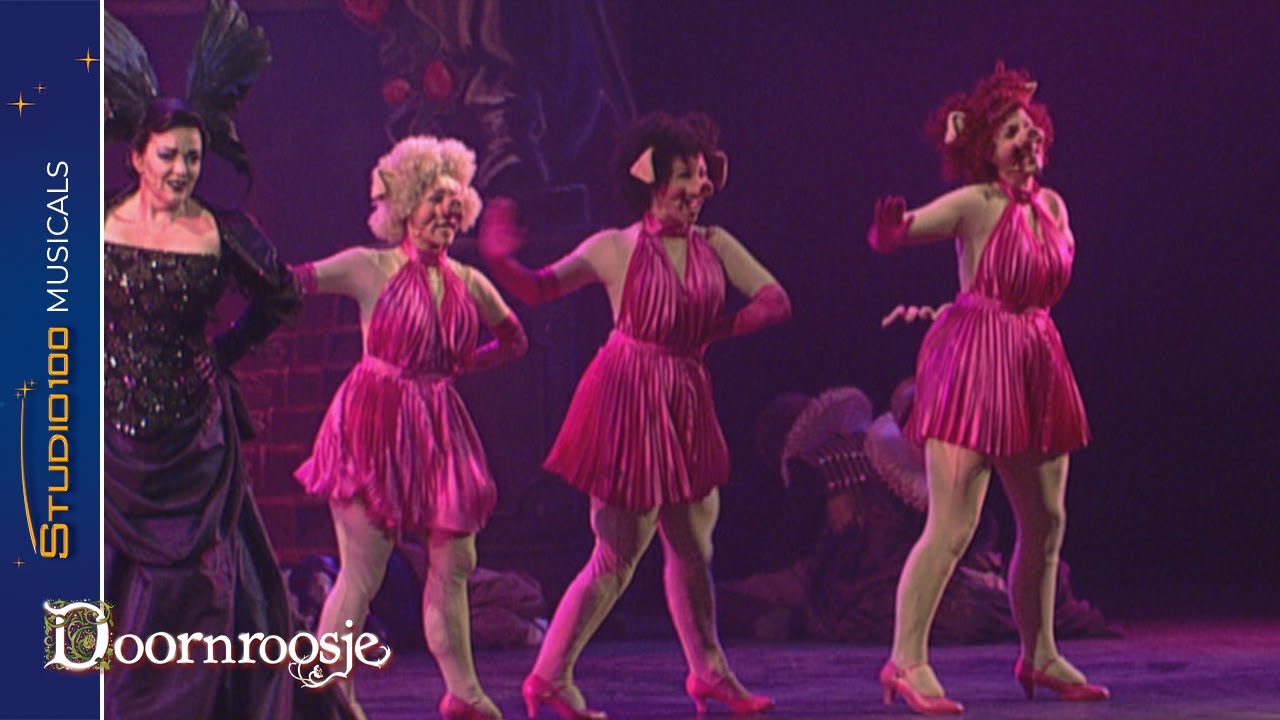 Jullie worden biggen - Musical Doornroosje
