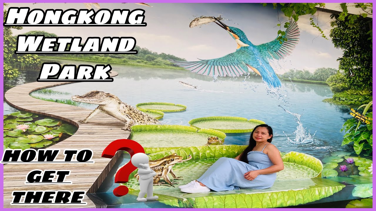 HONGKONG WETLAND PARK  part 1 ( INDOOR VIEW ) | How to get there by MTR? | JeSaMi TV