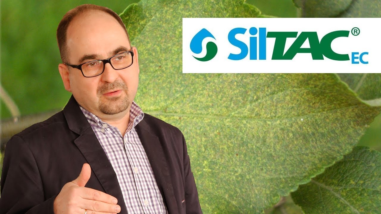 SilTAC - praktyczne aspekty stosowania [Wojciech Wieczorek]