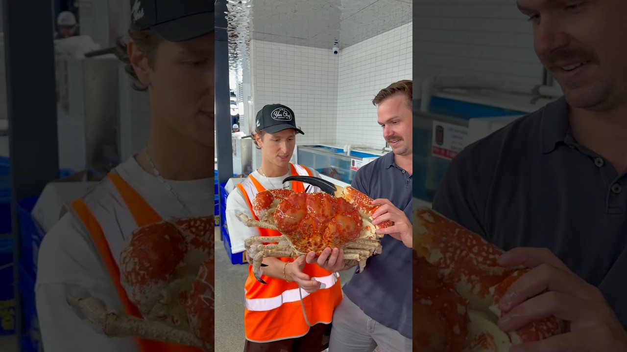 Пробуем лучшие блюда на совершенно новом рыбном рынке Сиднея.