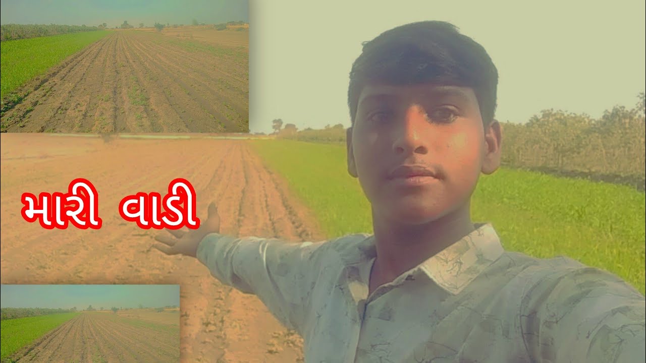 મારી વાડી મોજ વિડીયો