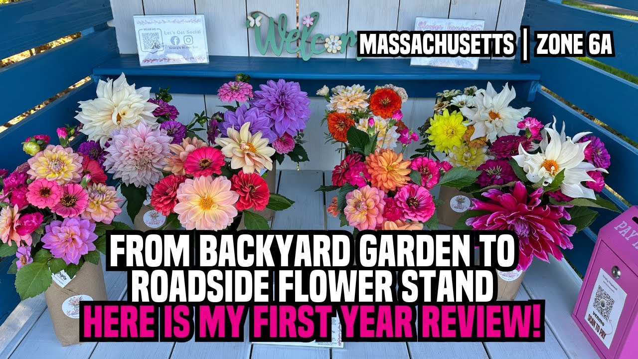 From Backyard Garden to Roadside Flower Stand - First Year Review