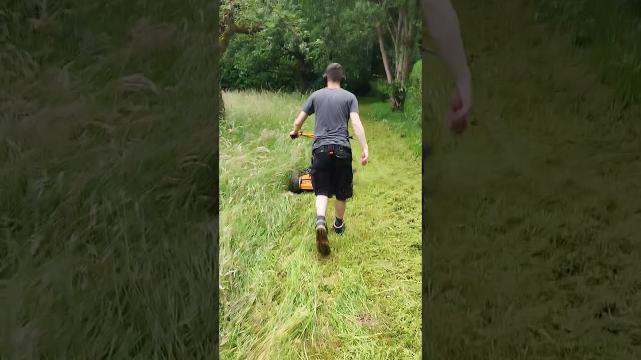 AS 26 Ah 8 AS Motor Hochgrasmäher beim Kämpfen🤪