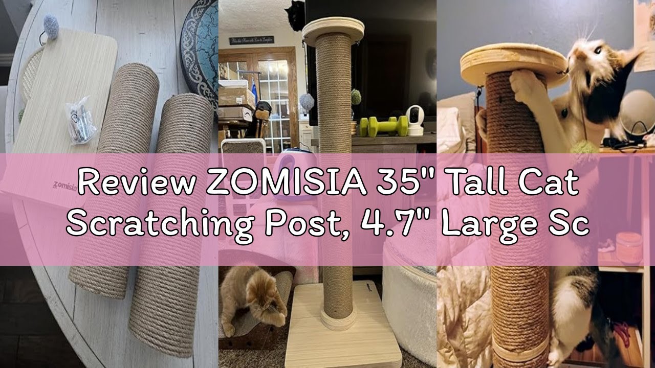 Review ZOMISIA 35'' Tall Cat Scratching Post, 4.7'' Large Scratch Post with Thicken Wooden Base for