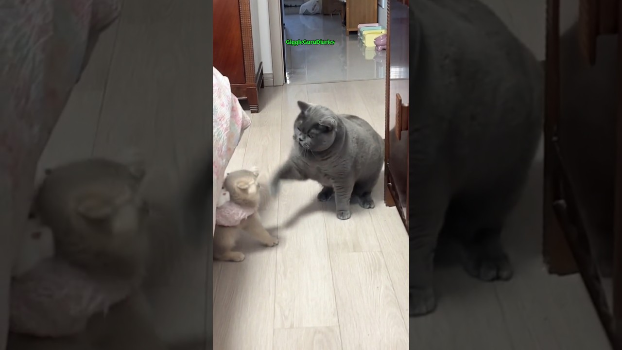 Proof that pets make life 100x better ❤️🐶 #shorts