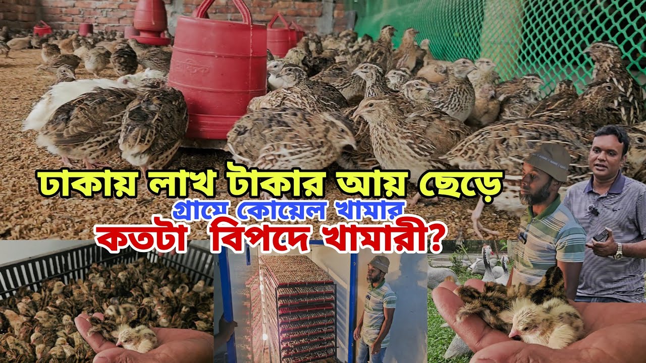 অল্প পুজিতে ভাগ্যের চাকা ঘুরিয়েছেন মুসা ভাই | কিভাবে পালন করে সফলতা পেয়েছেন দেখুন বিস্তারিত