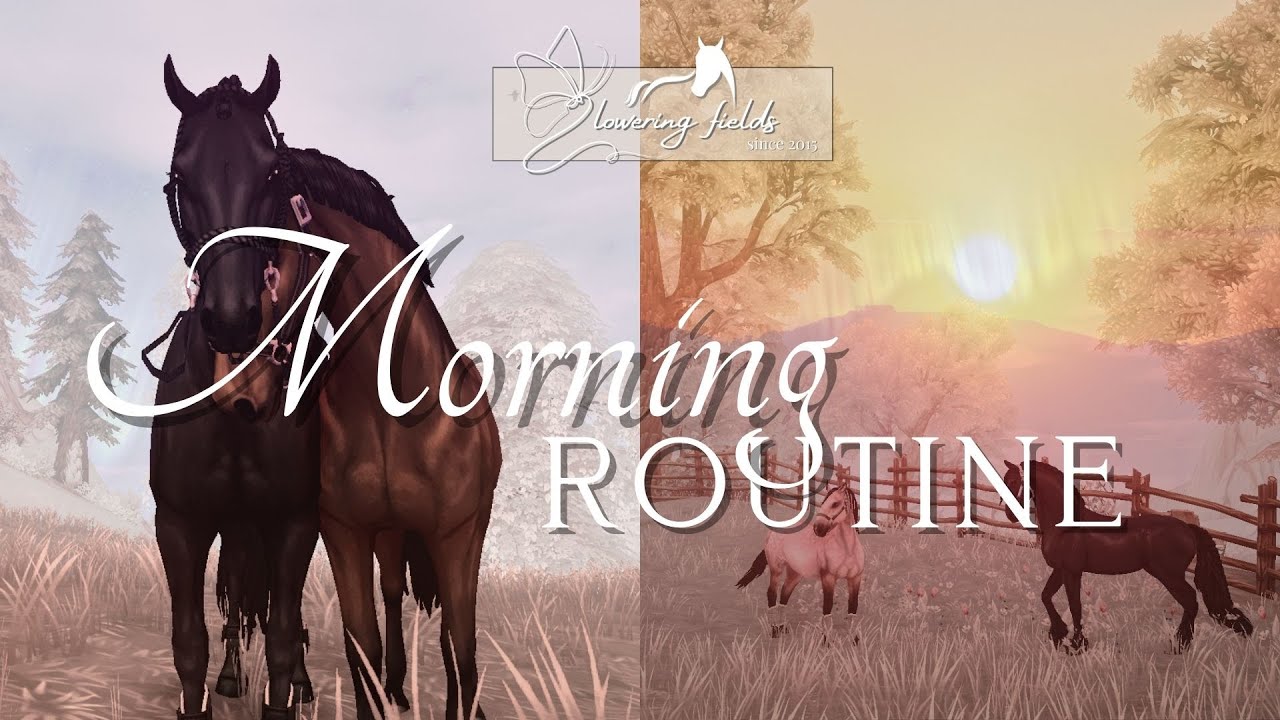 Winter Morning Barn Routine ☀️❄️ || Flat work, cleaning & More || SSO RRP