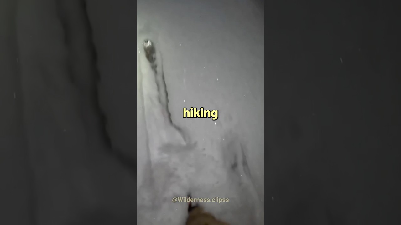 Видео о самых опасных парнях на природе&hellip;