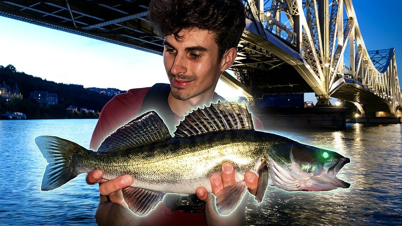 CARTON PLEIN pour mon premier STREET FISHING à LYON !