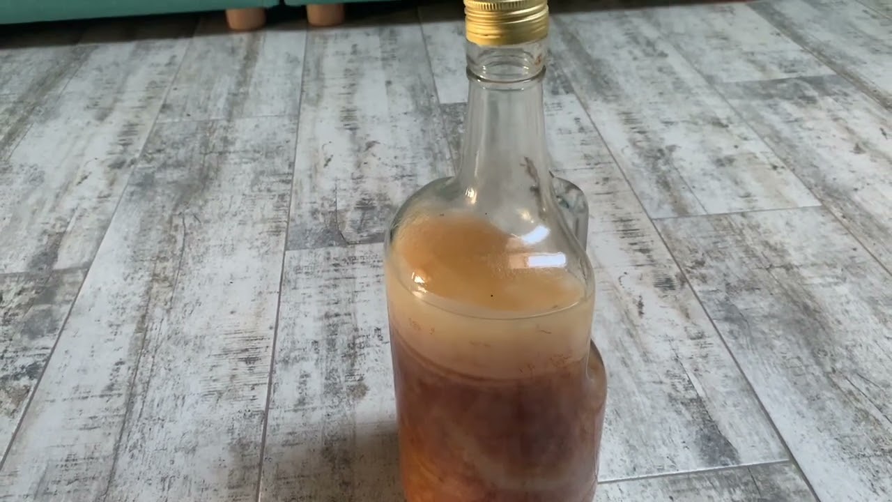Matka octowa naturalna galaretka ? Co dalej ? Zjeść czy wykorzystać do zrobienia kolejnych oct&oacute;w ?