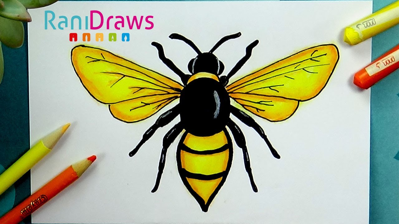 Cómo dibujar una ABEJA - Paso a paso