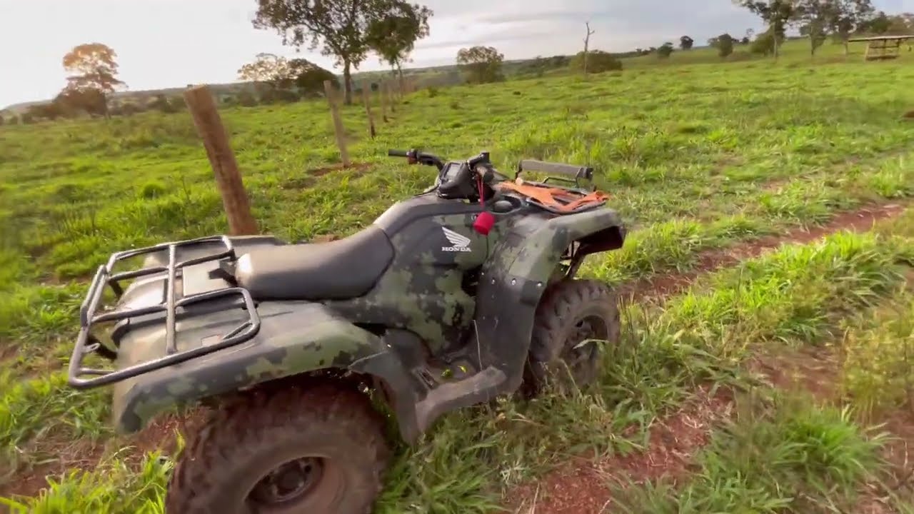 Quadriciclo na Fazenda
