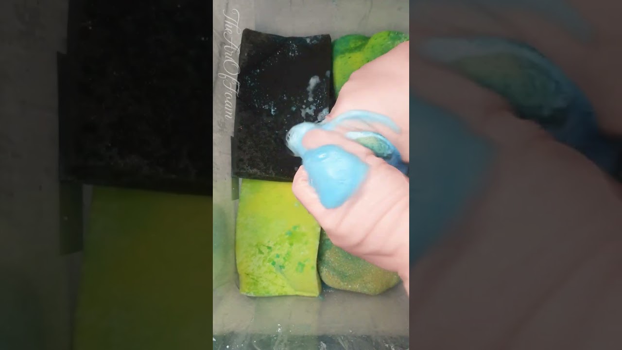 Sponge Pre-rinsing #asmr #spongeasmr #spongesqueeze #spongesqueezing #asmrcommunity