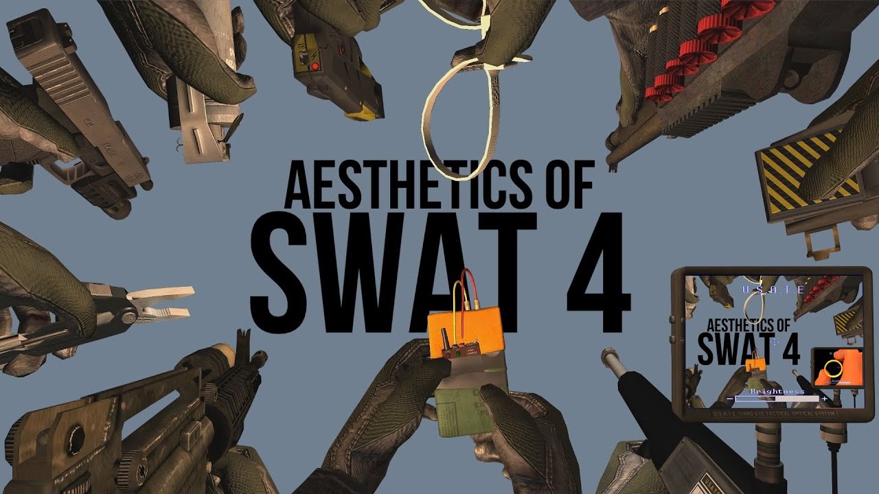 Aesthetics of SWAT 4.