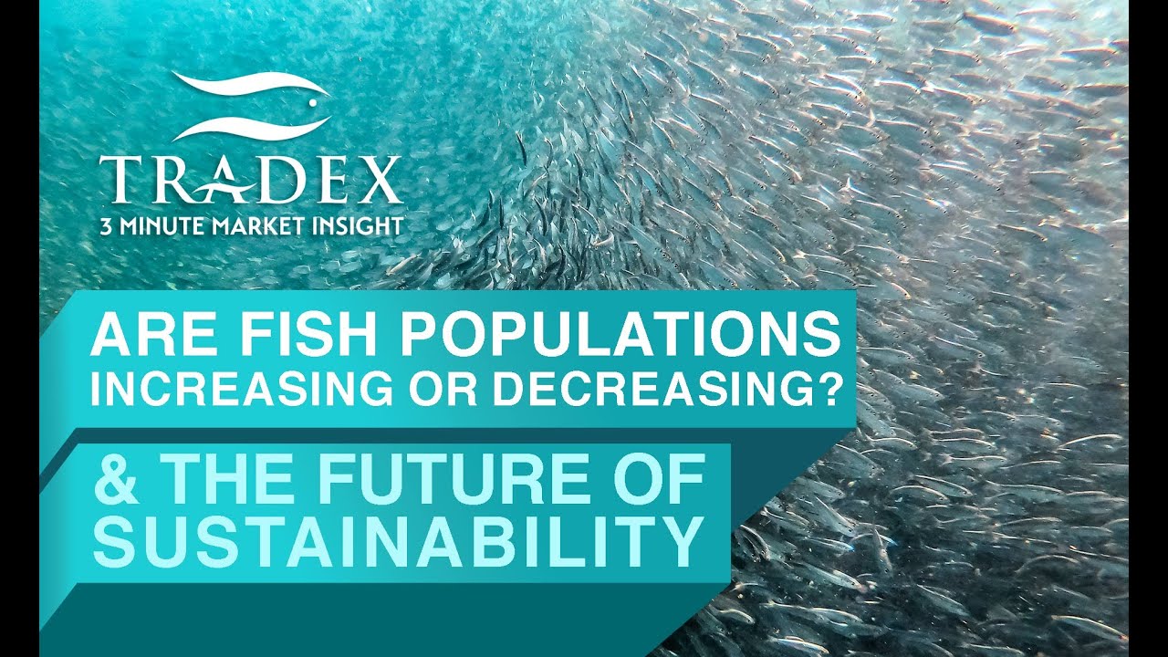 3MMI - Ocean Optimism: Are Fish Populations Increasing or Decreasing?