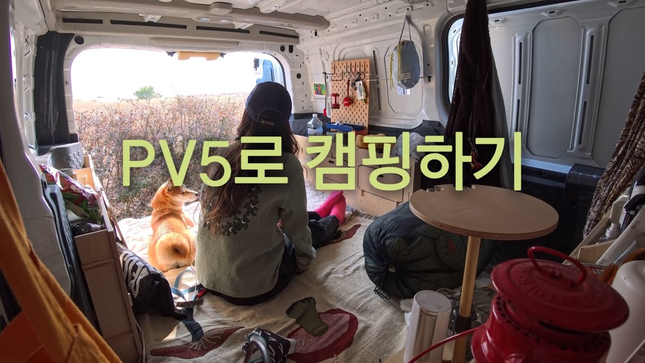 [전기차🚐 반려견🐕캠핑⛺️] PV5로 차박하기- 일몰바다보러 왔어요- 주차장  스탤스차박- 조용히 있다갑니다  