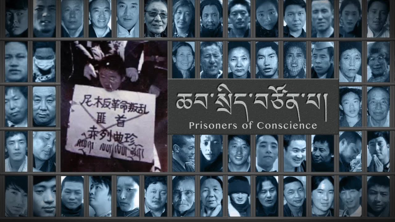 Political Prisoner in Focus: Ani Thinley Choedon