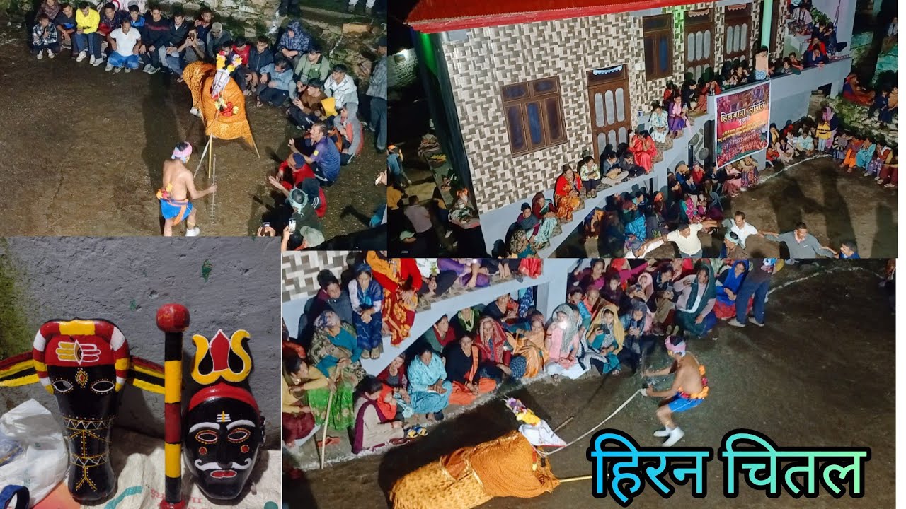 हमारे गांव का ऐतिहासिक त्यौहार हिरन चितल 🐆 #viral #volg #video 
