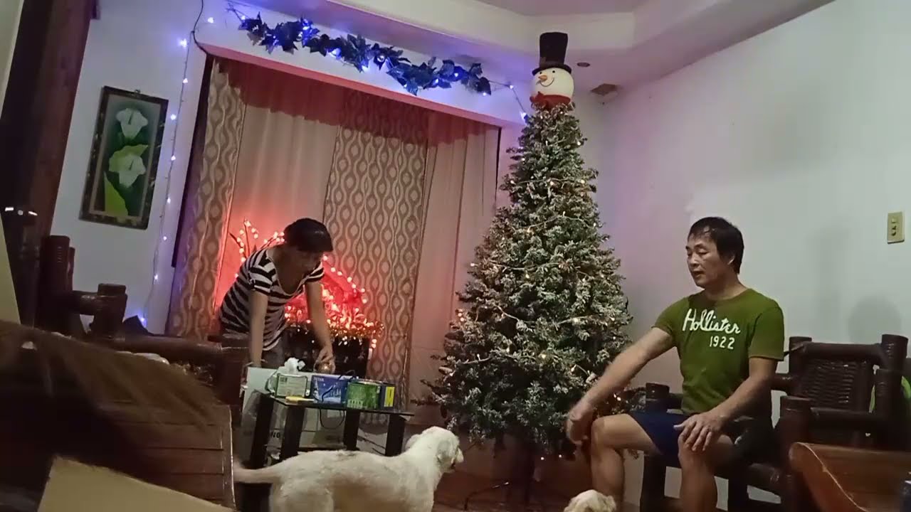 @Christmas decor with wifie