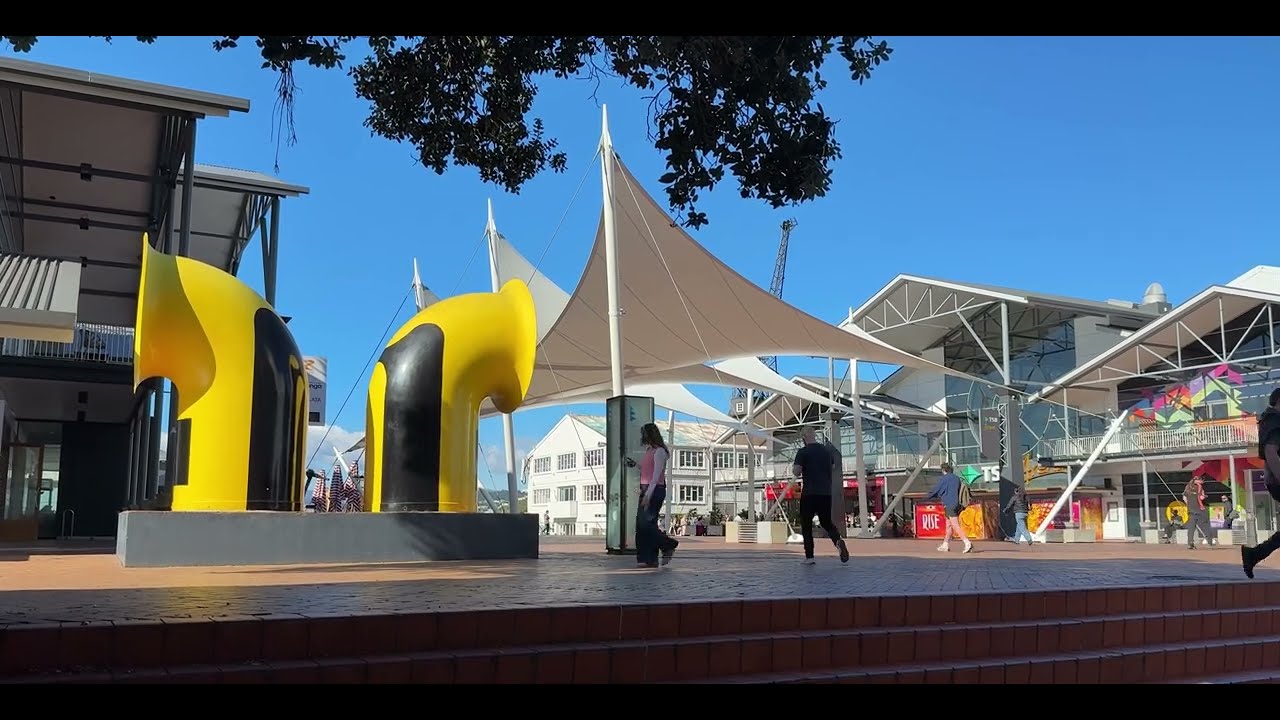Wellington City Life | New Zealand 2025