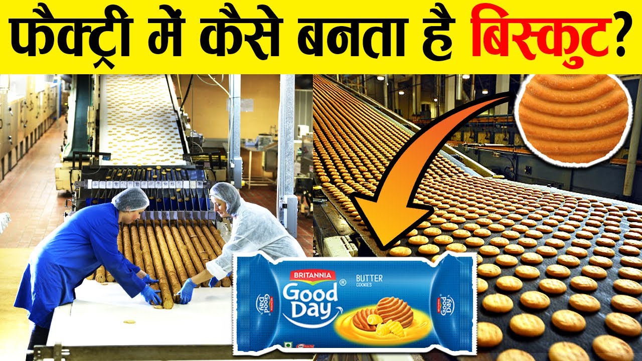 फैक्ट्री में कैसे बनते हैं 'GOOD DAY BISCUITS'? How are 'GOOD DAY BISCUITS' made in factory?