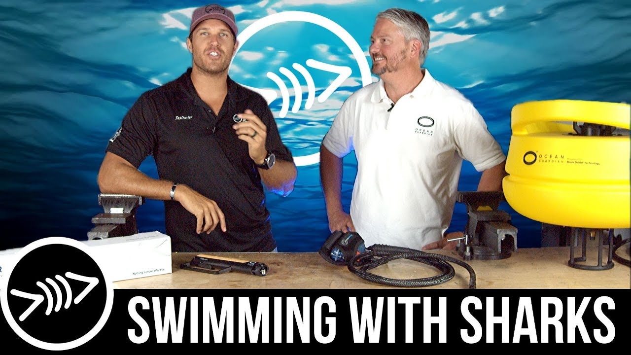Swimming with Sharks - Florida Freedivers