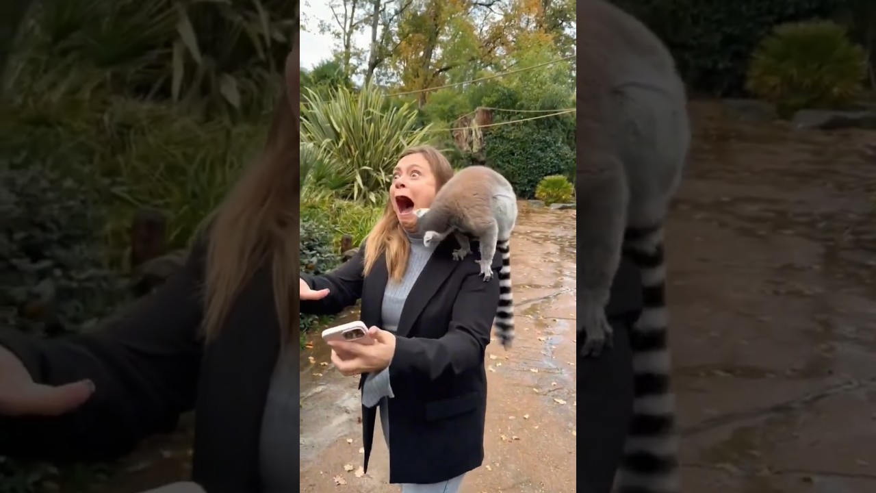 Husband teasing and pranking the wife all over 🤣 #prank #wife #husband