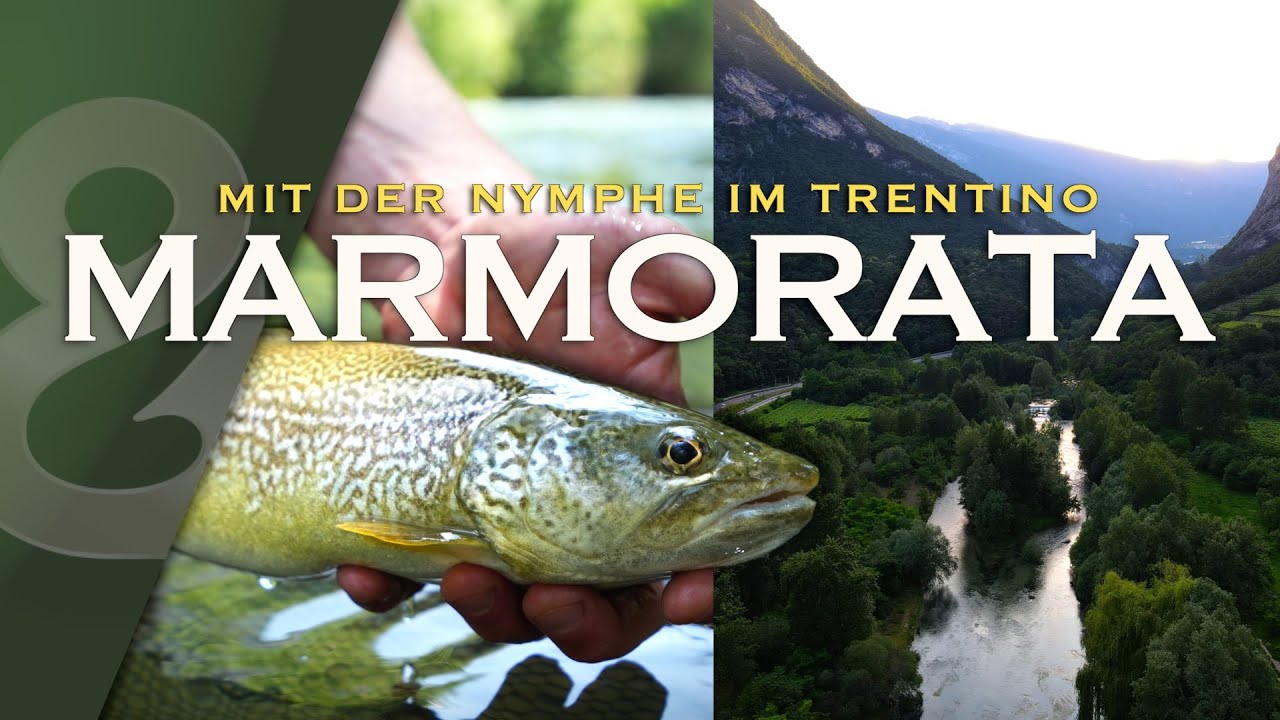 Mission Marmorata! Fangen wir die seltene Alpen-Forelle?