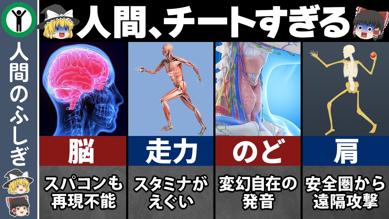 【ゆっくり解説】人間がチートな生物である理由4選