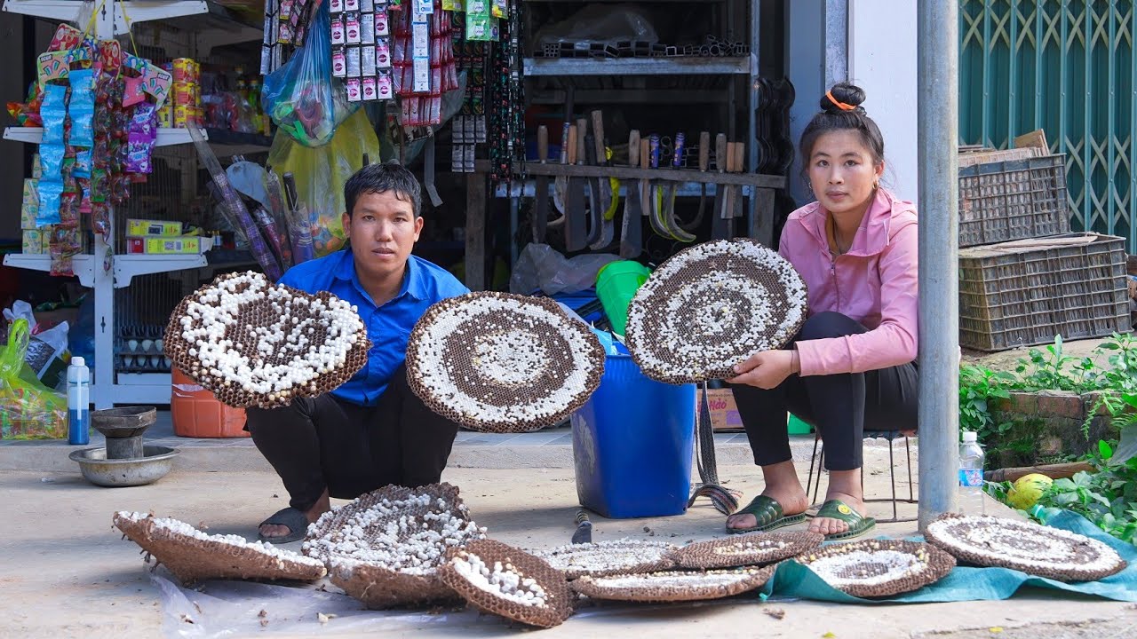 Harvesting Giant Wasps on the Farm, Visiting Water-Cut Fields in Rice Fields | Family Farm