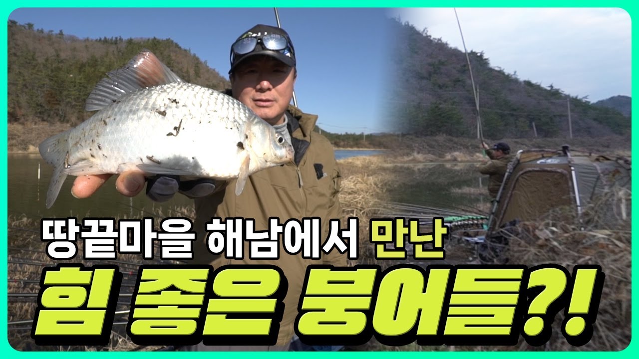 팔팔한 해남 붕어들 - [월척수배 25시 더라이브 Ep. 68]