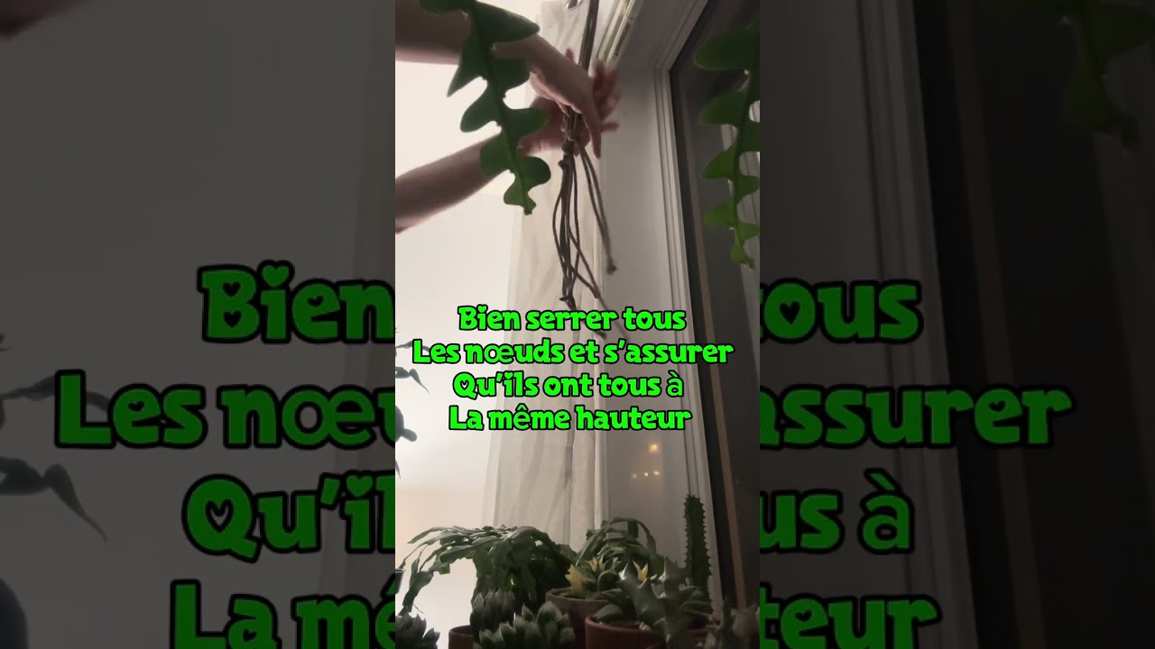 Confectionner un macramé pour plante d’intérieur suspendue 