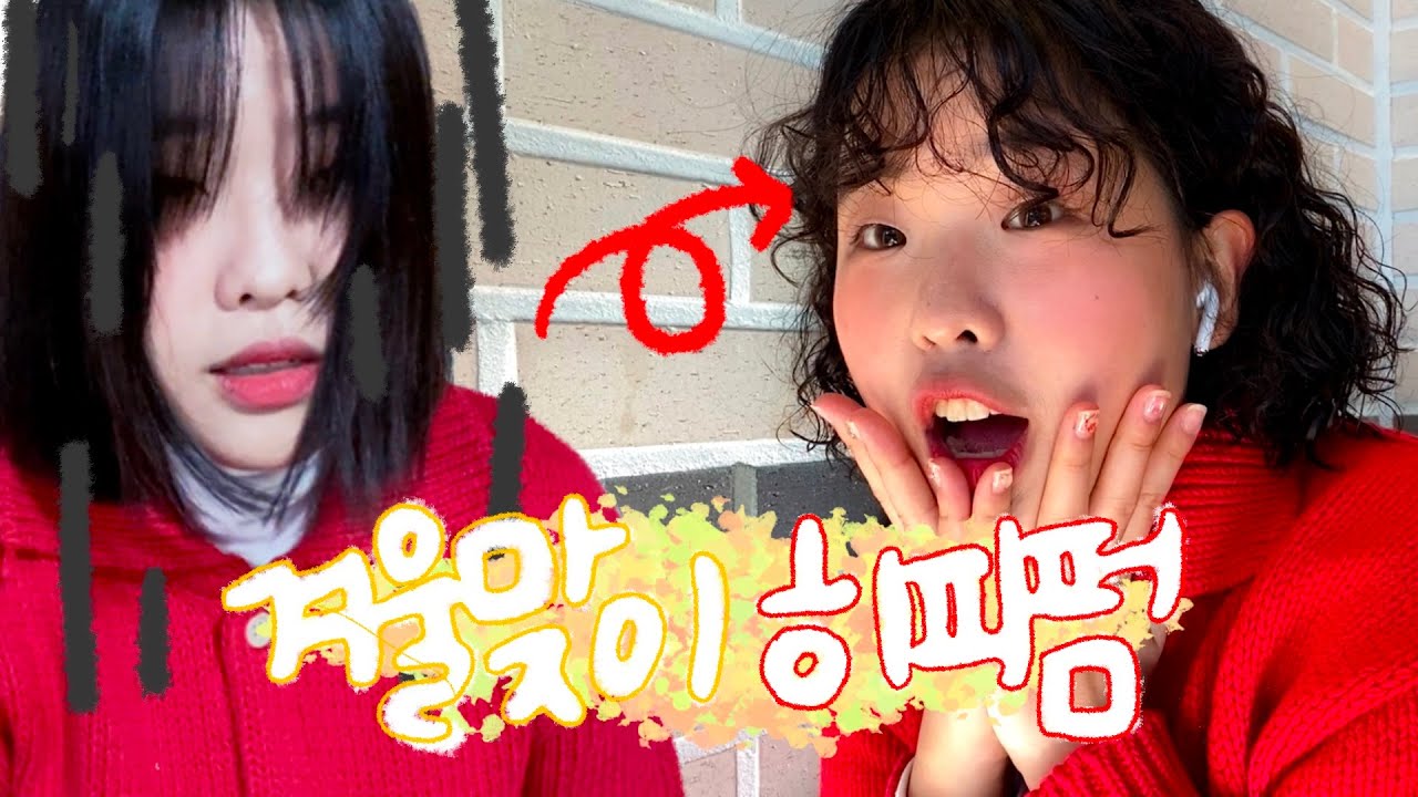 vlog. 정열의 히피펌 도전 브이로그!