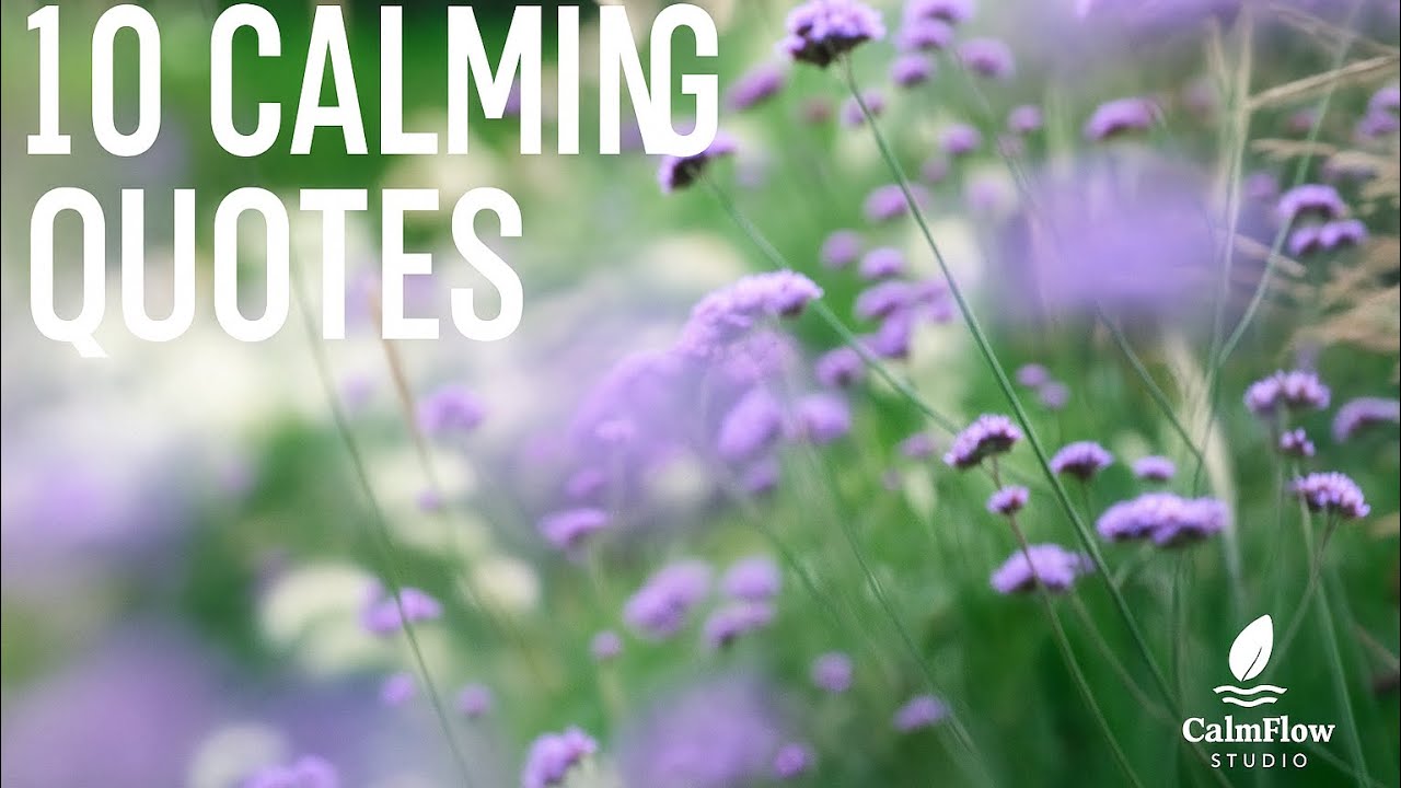 10 Calming Quotes for When Life Feels Heavy | Relax and Reset