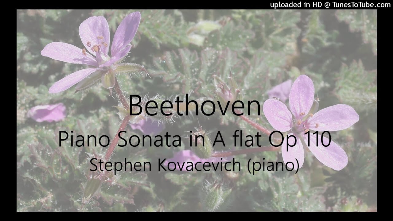 Beethoven: Piano Sonata in A flat Op 110 ~ Stephen Kovacevich (piano)