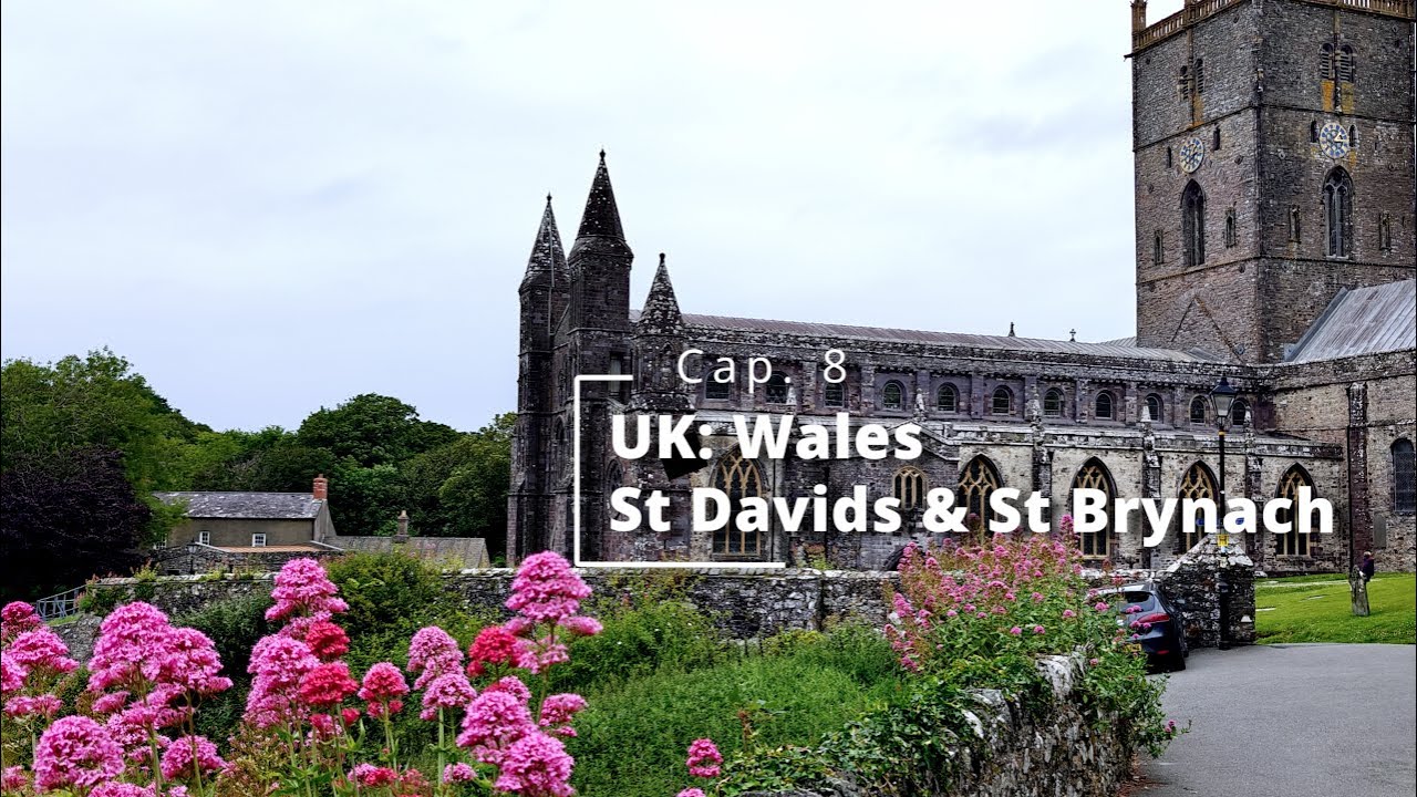 Cap 08 St David’s & St Brinach