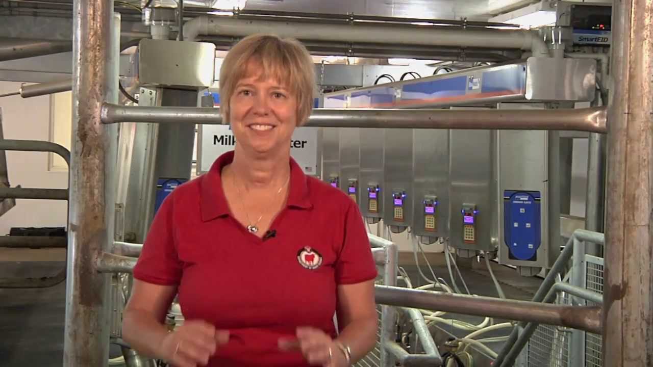 Calm and Clean: The 7 Habits of Highly Successful Milking Routines