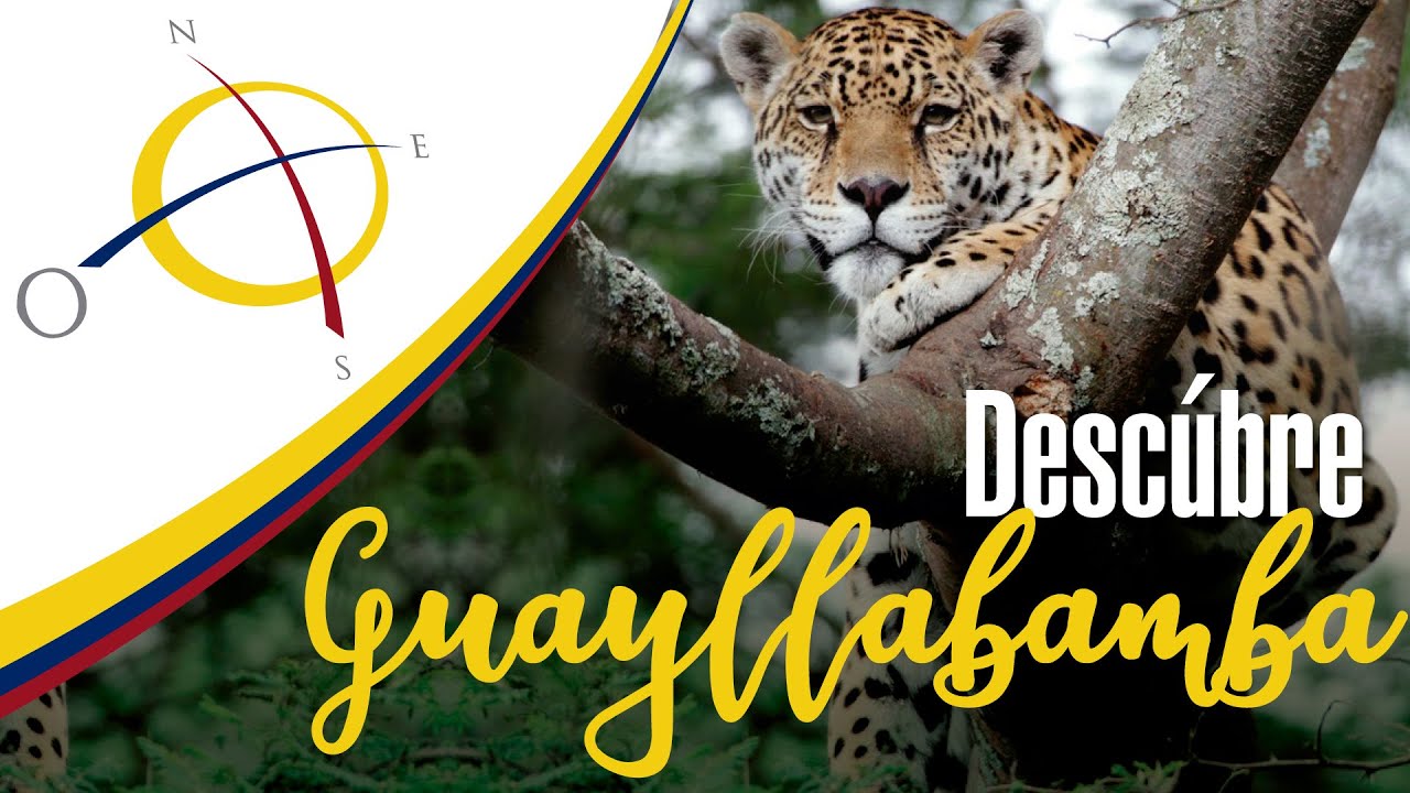 👉 GUAYLLABAMBA del alma 2025✔️TURISMO ECUADOR - ZOOL&Oacute;GICO - Ecuador al Mundo 👌